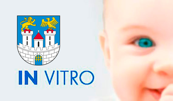 Wnioski in vitro w Częstochowie